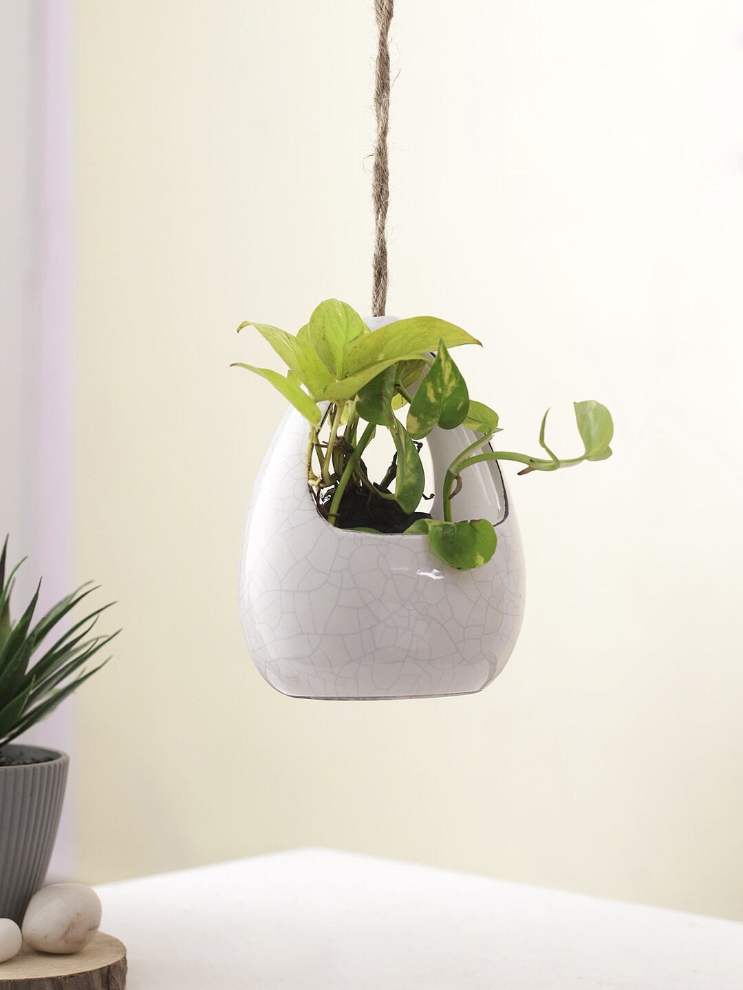 

TAYHAA Solid Hanging Planter, White