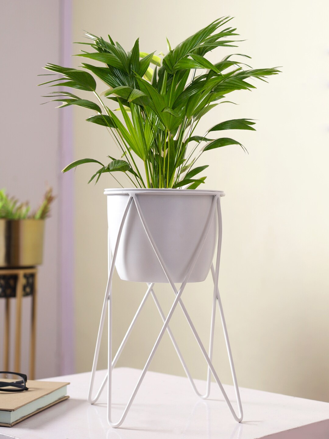 

Aapno Rajasthan Solid Metal Planter With Stand, White