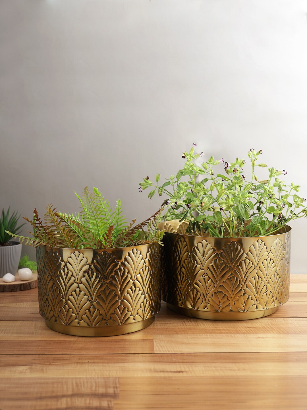 

Aapno Rajasthan Set Of 2 Solid Planters, Gold
