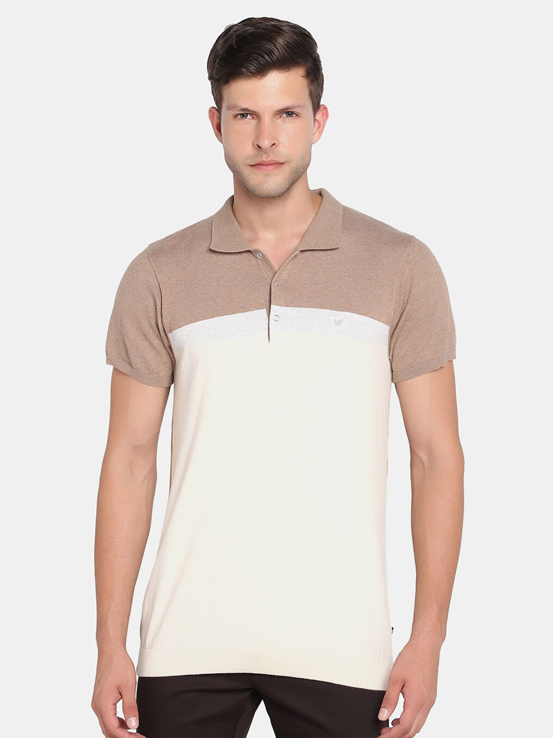 

Blackberrys Men Beige Colourblocked Polo Collar Slim Fit T-shirt