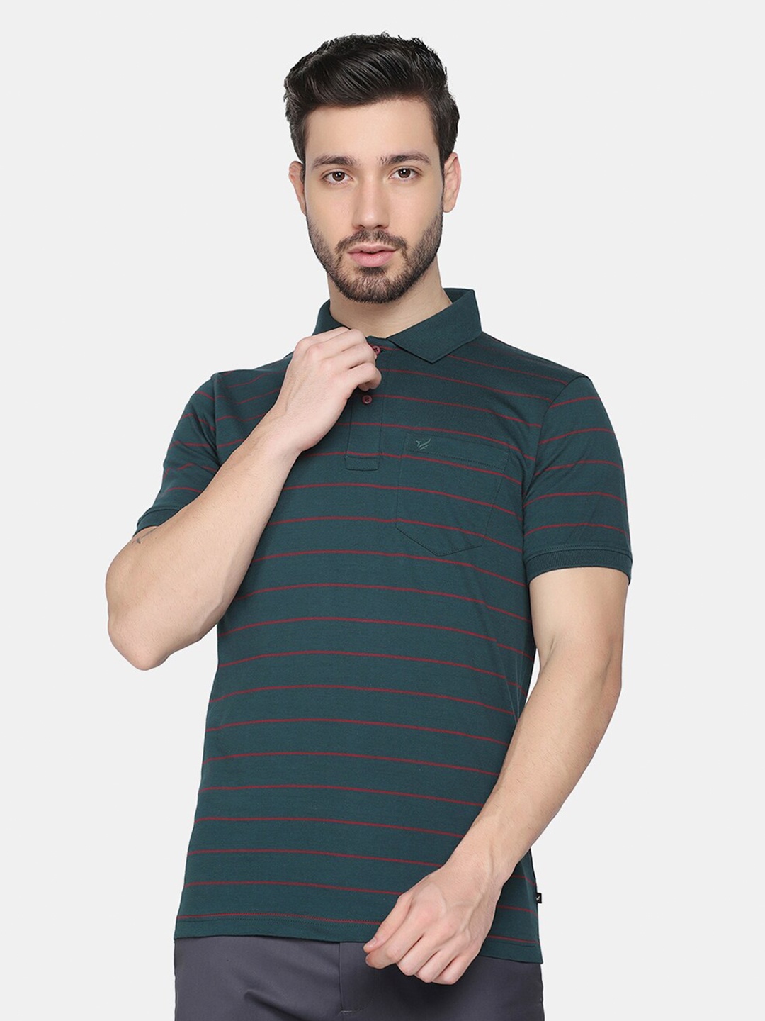 

Blackberrys Men Green Striped Polo Collar Slim Fit T-shirt