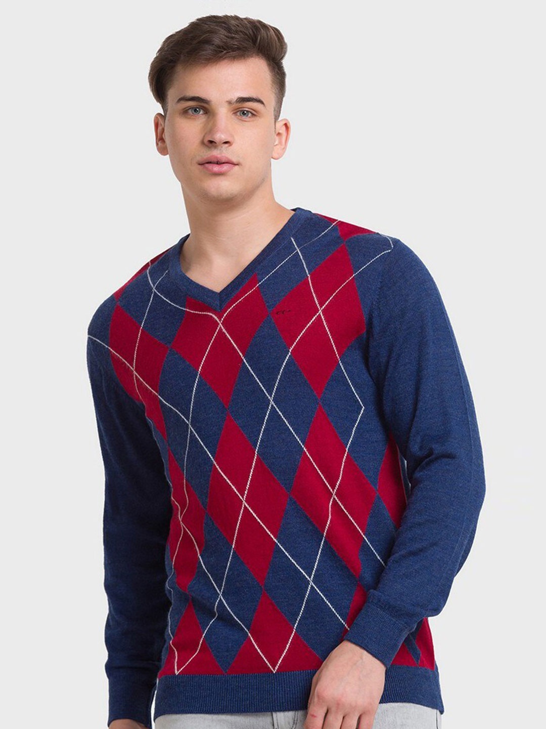 

ColorPlus Men Blue & Red Checked Pullover
