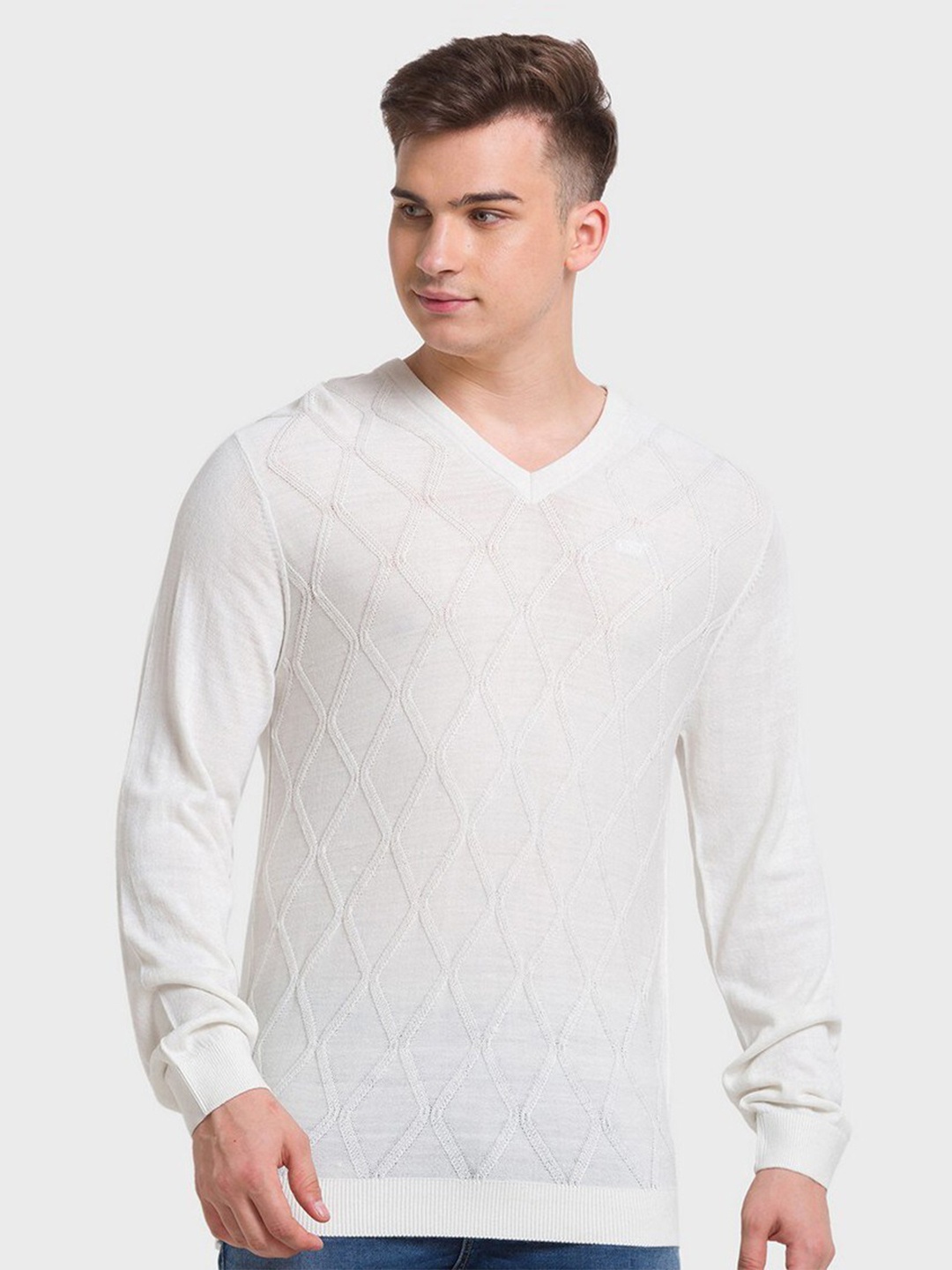 ColorPlus Men White Self Design Pullover
