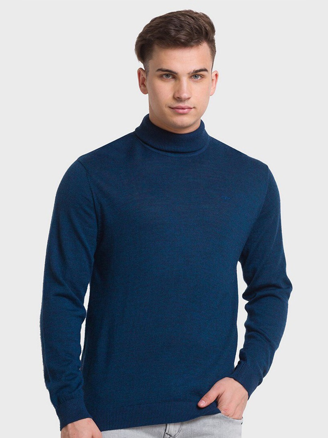

ColorPlus Men Blue Solid Pullover