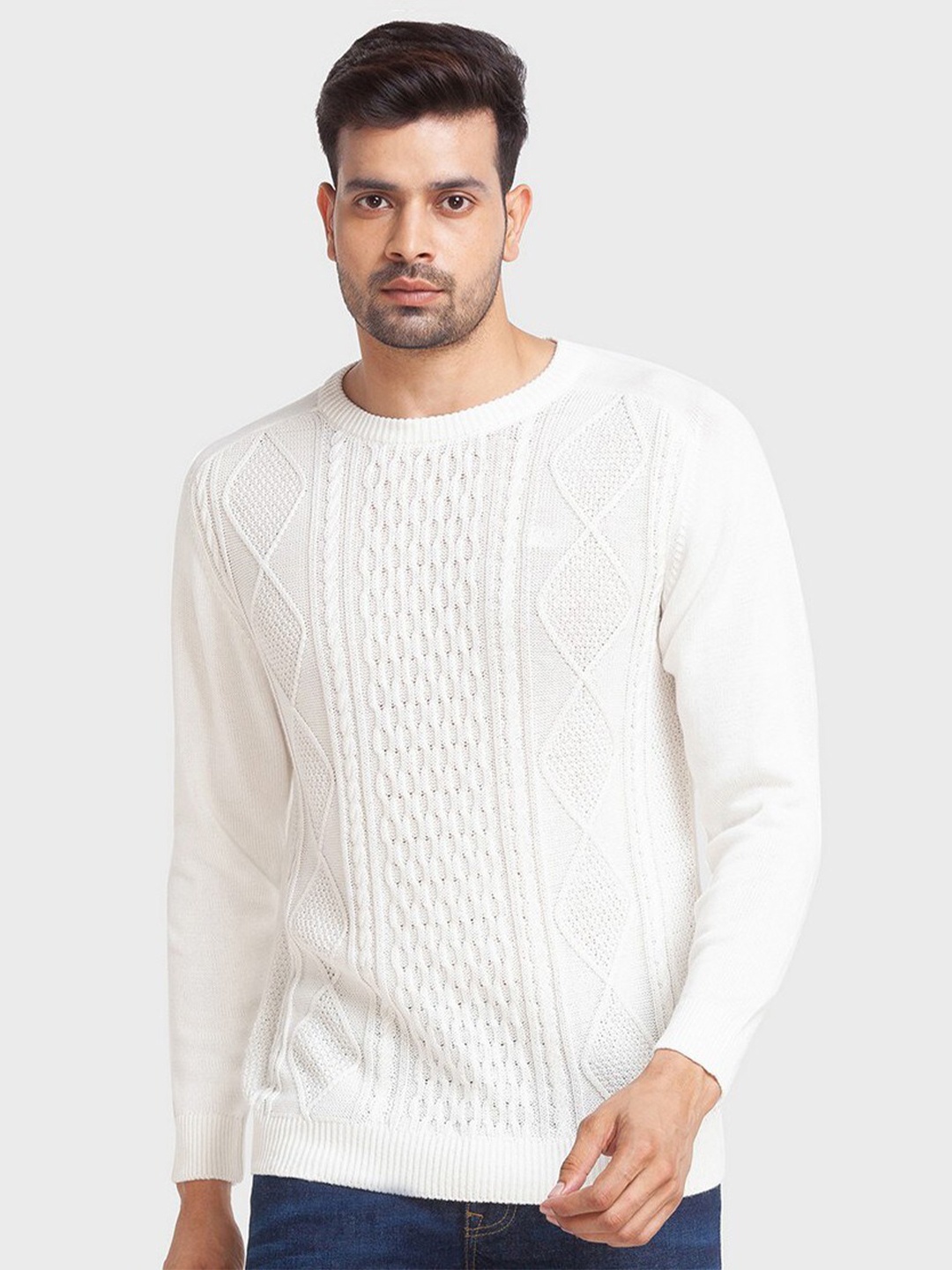 

ColorPlus Men Plus Size White Self Design Pullover