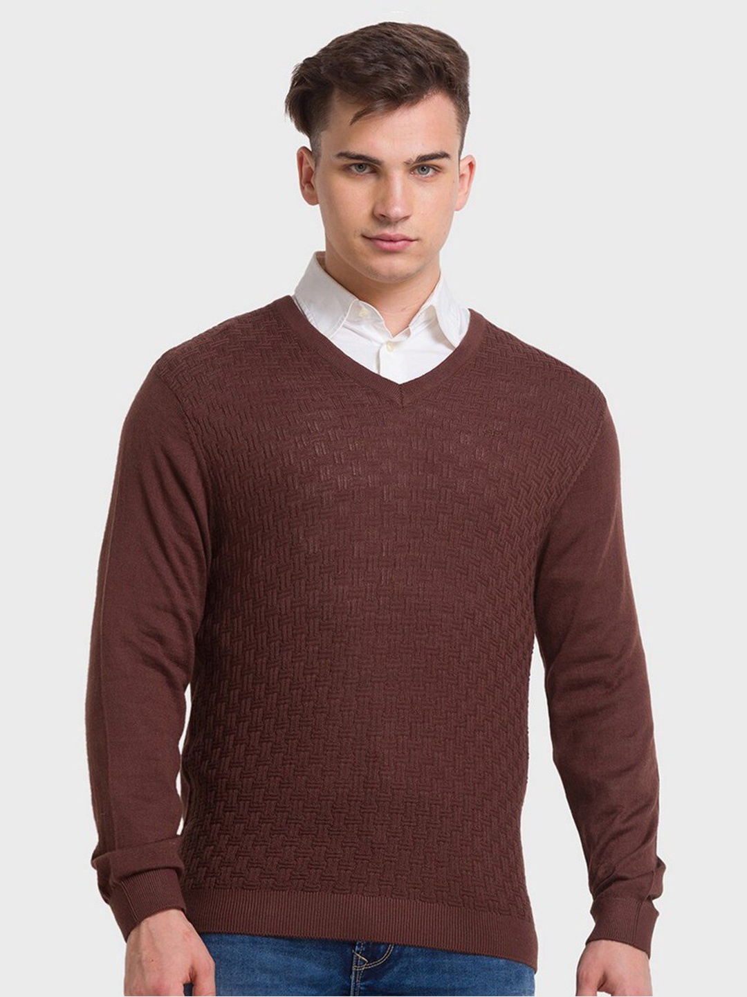 

ColorPlus Men Plus Size Brown Pullover