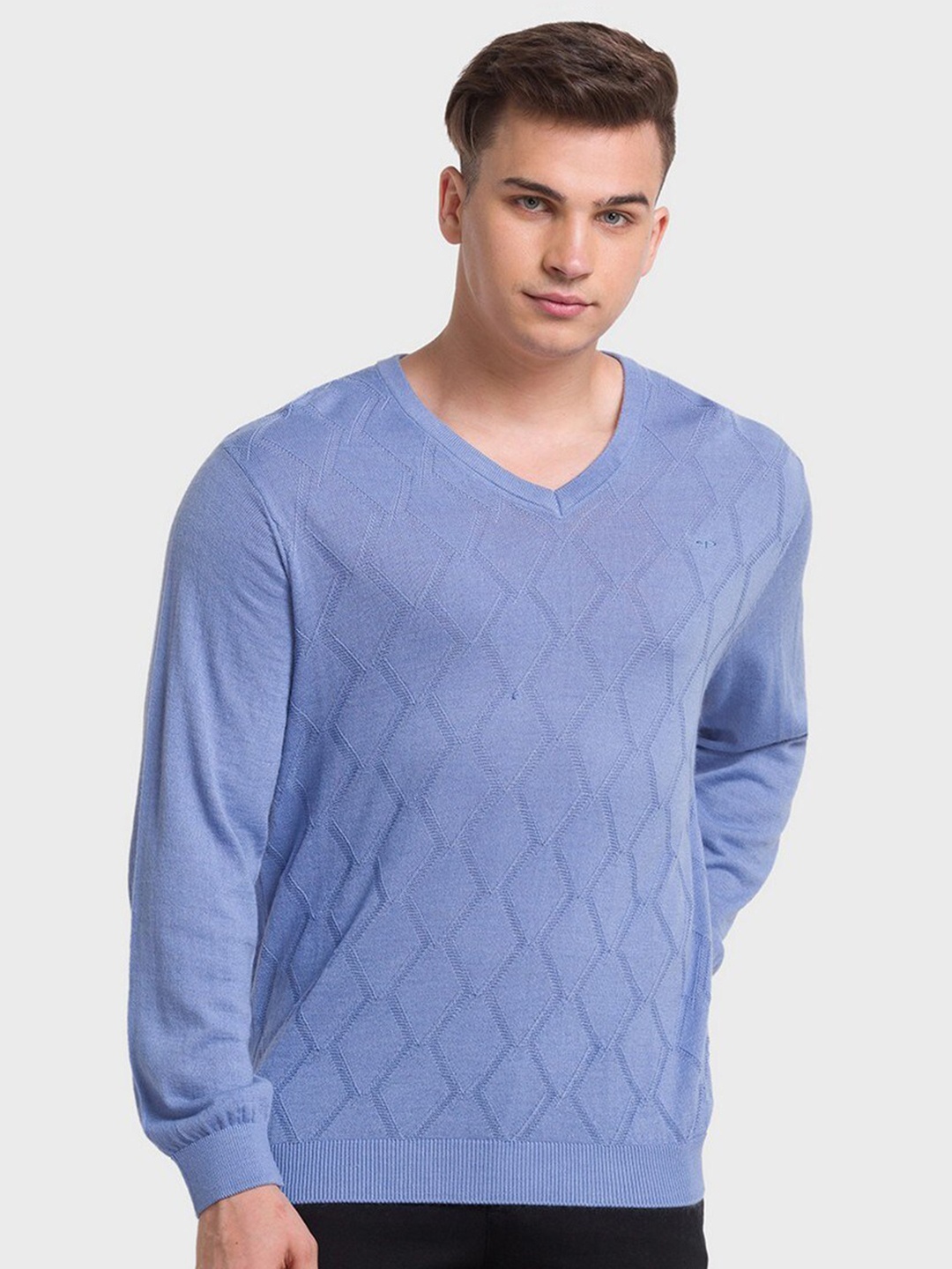 

ColorPlus Men Plus Size Blue Pullover