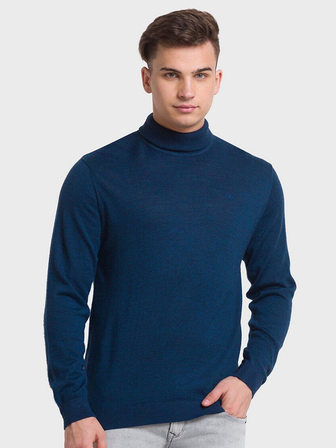 

ColorPlus Men Blue Pullover