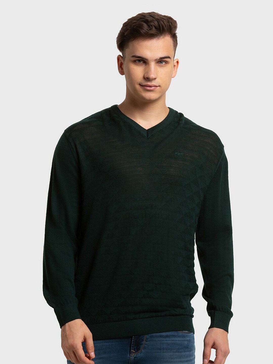 

ColorPlus Men Plus Size Green Pullover