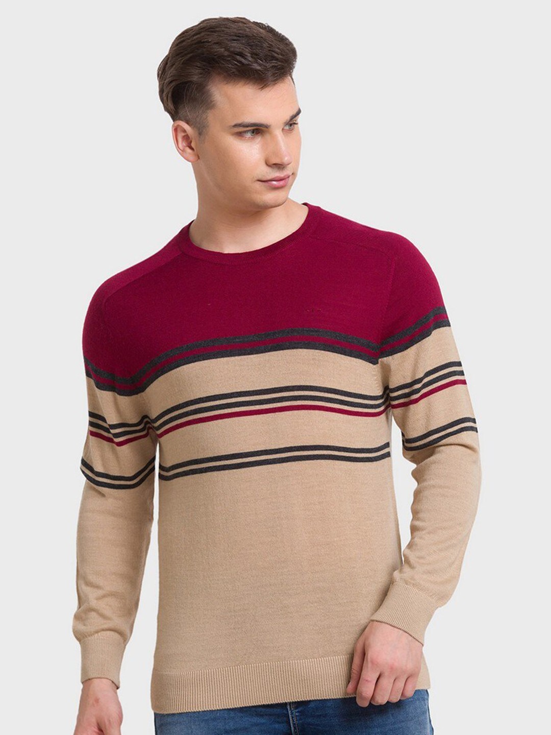 

ColorPlus Men Striped Round Neck Long Sleeves Wool Pullover, Beige