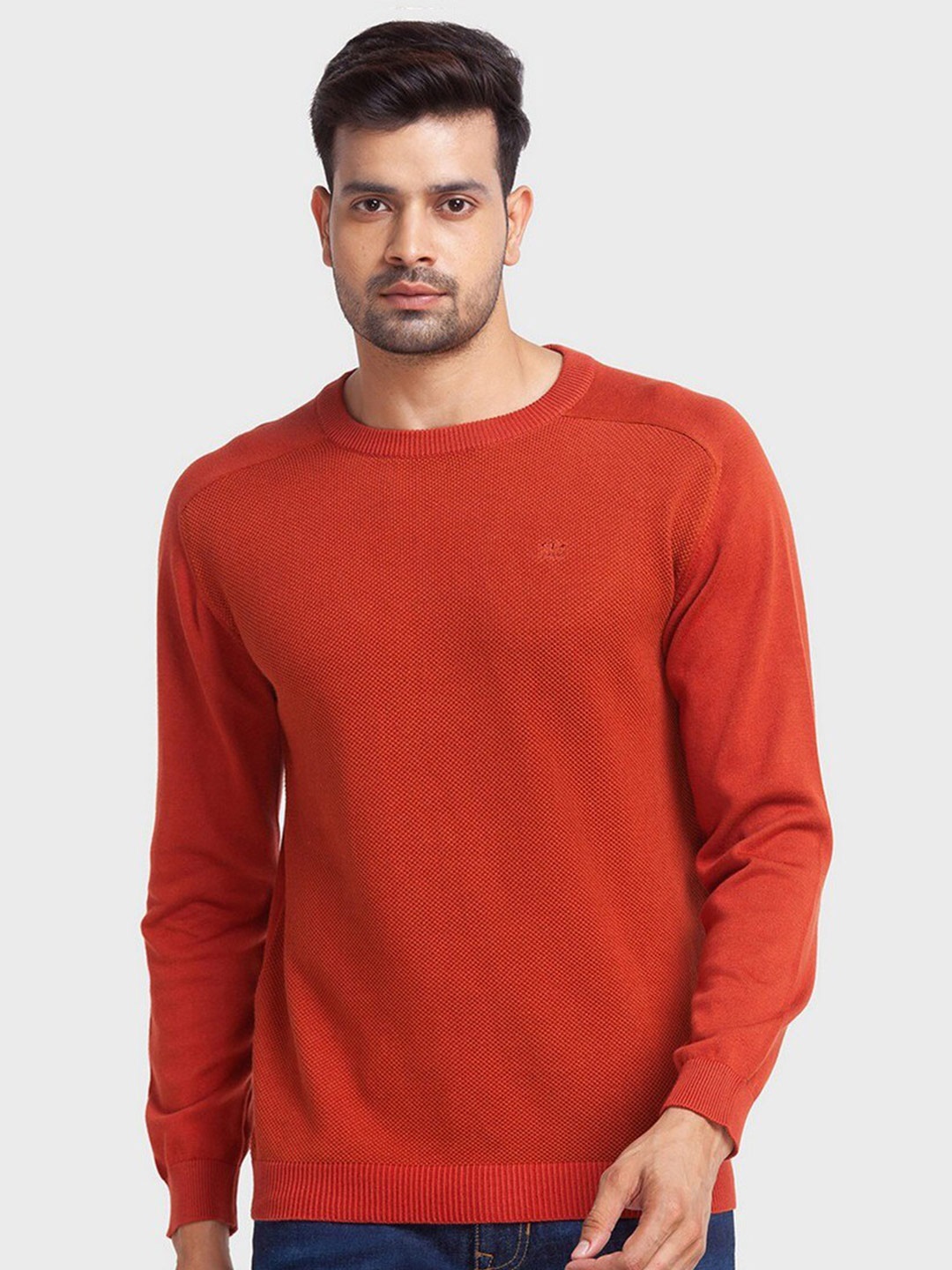 ColorPlus Men Round Neck Ribbed Long Sleeves Cotton Pullover, Orange