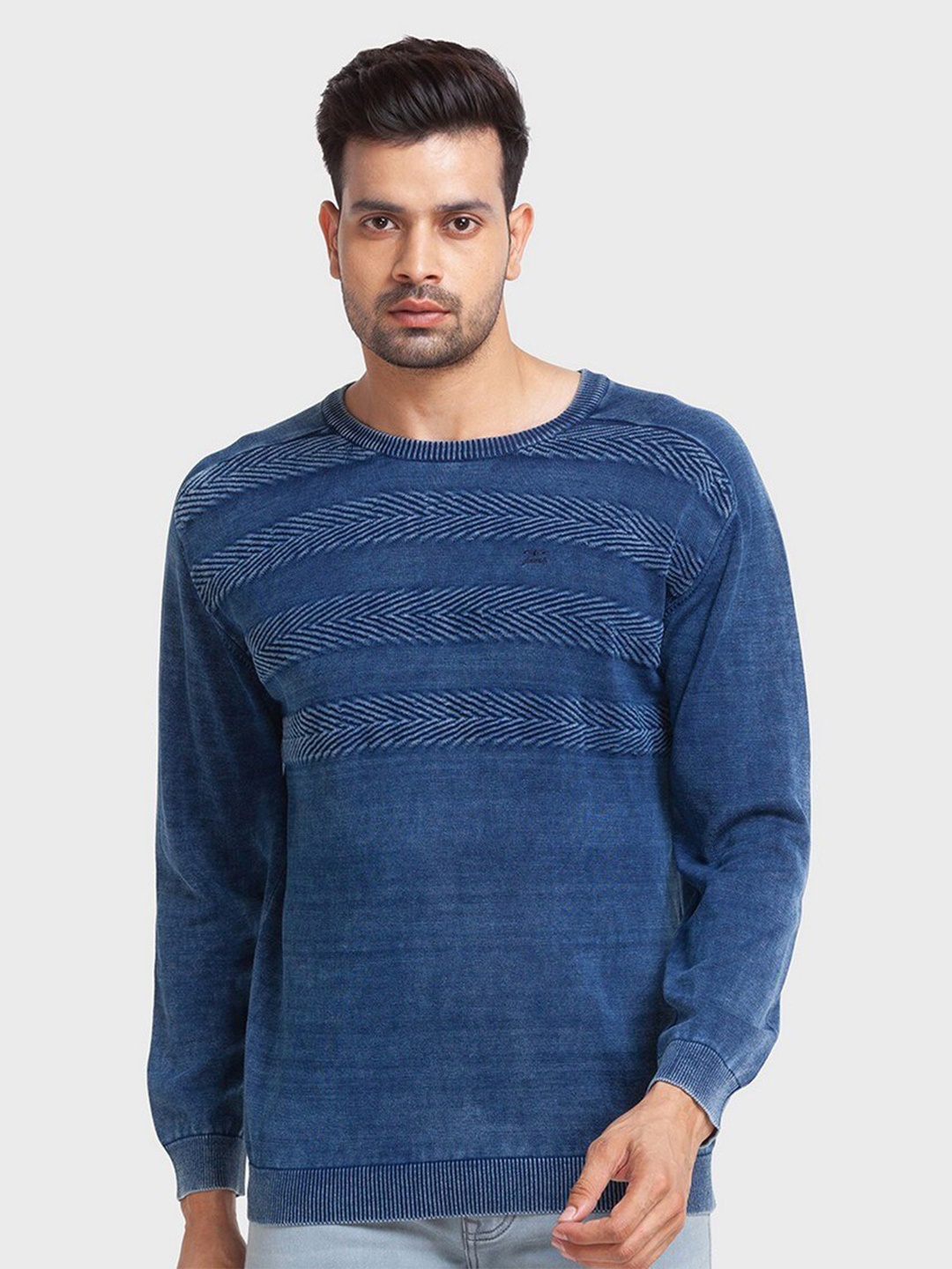 

ColorPlus Men Round Neck Self Design Cotton Pullover, Blue
