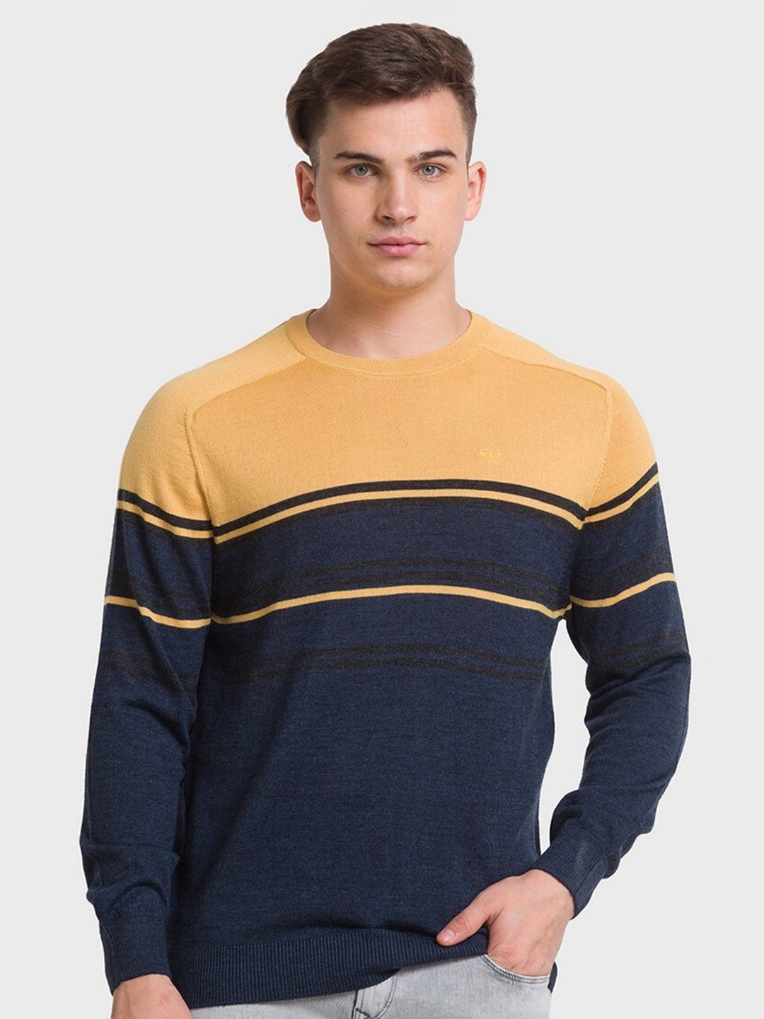 

ColorPlus Men Striped Round Neck Colourblocked Long Sleeves Wool Pullover, Blue