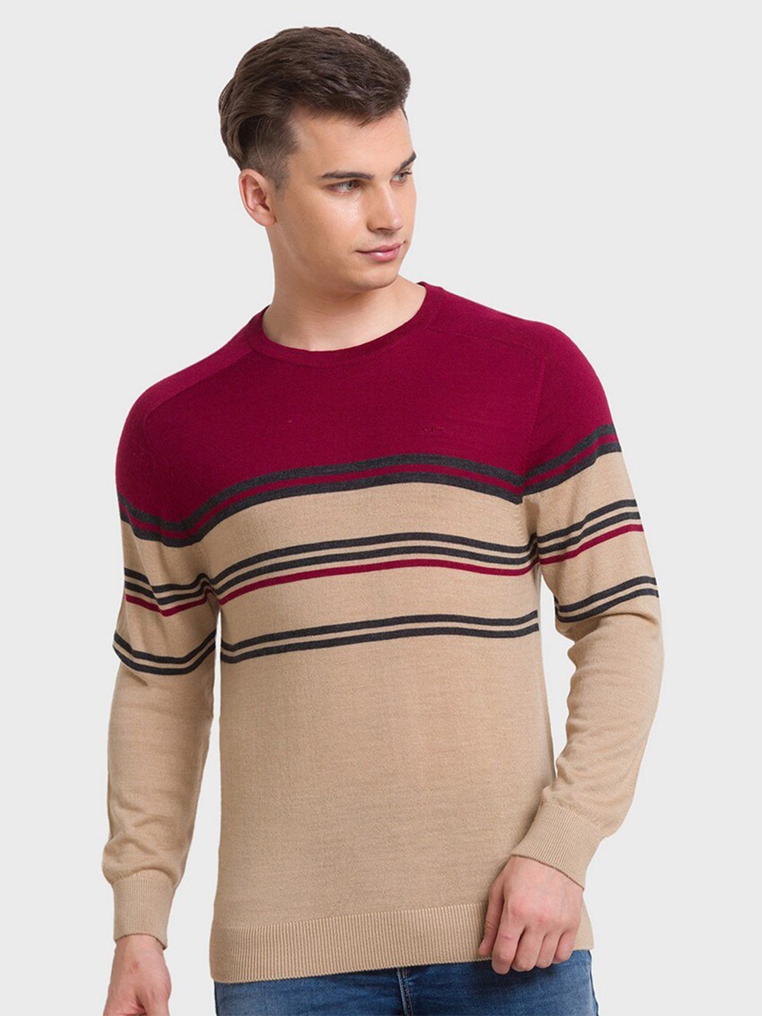 

ColorPlus Men Striped Round Neck Long Sleeves Wool Pullover, Beige