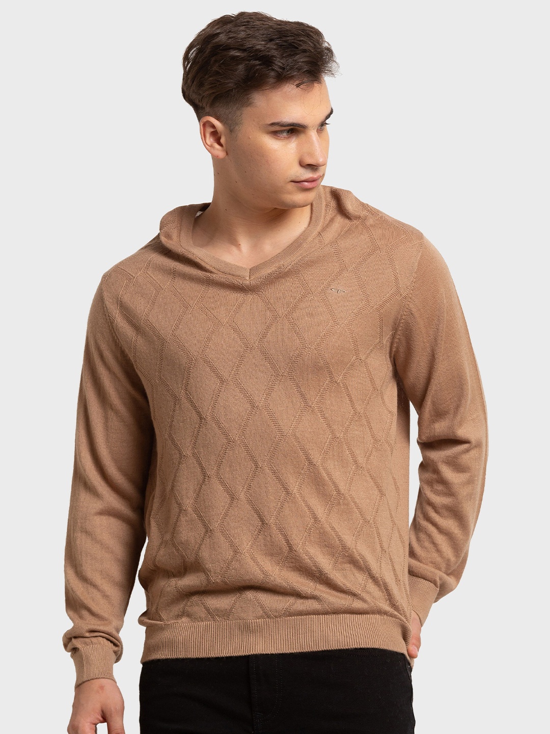 

ColorPlus Men Plus Size Brown Cable Knit Pullover