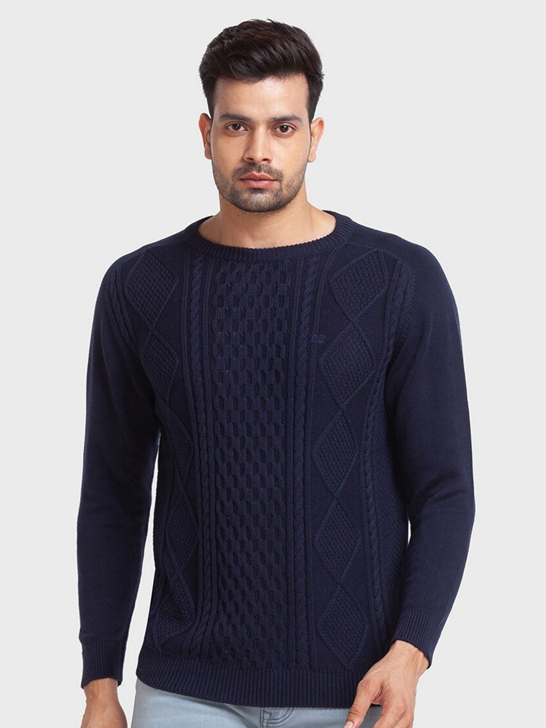 

ColorPlus Plus Size Men Blue Pullover