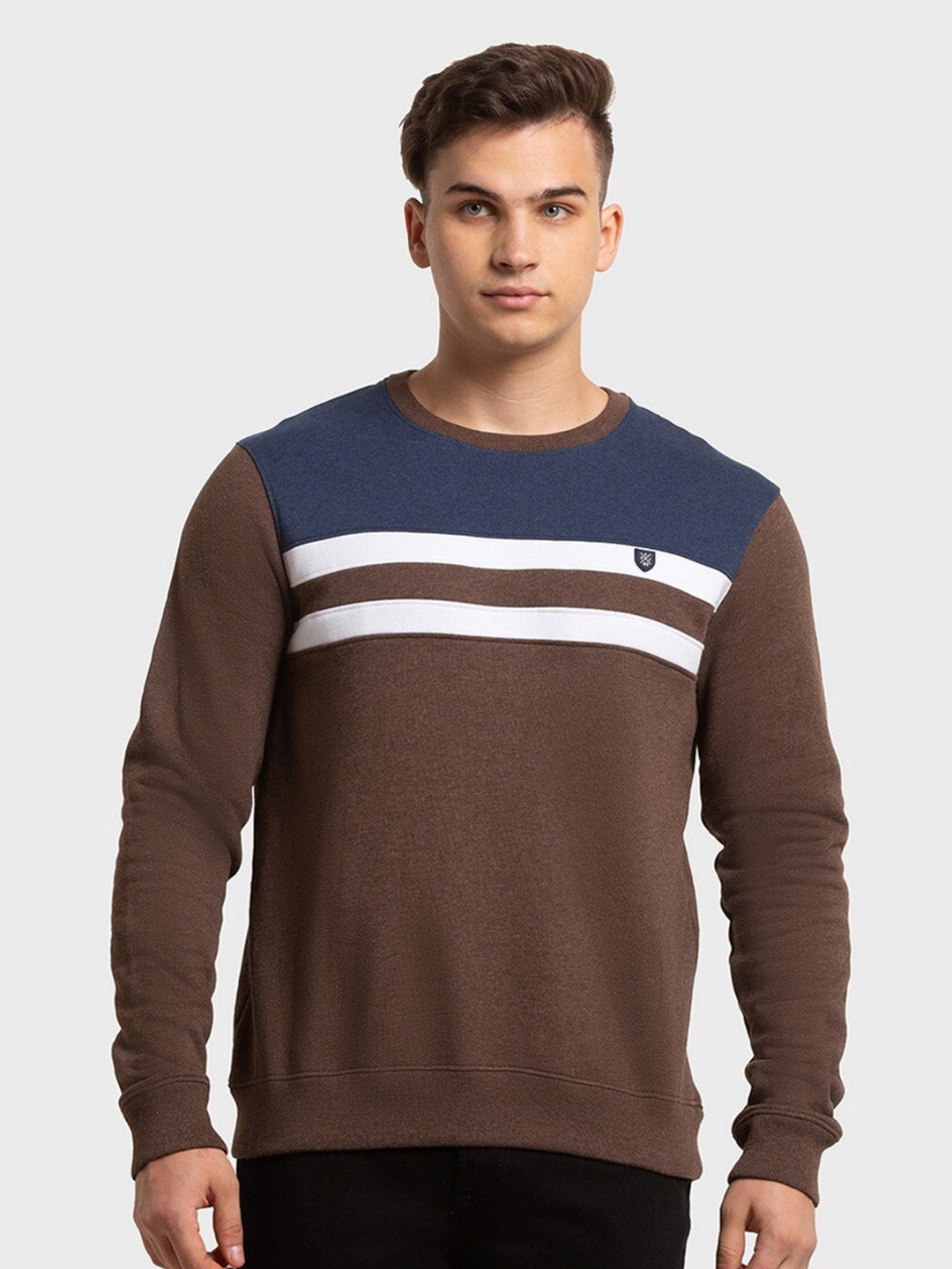 

ColorPlus Men Plus Size Colourblocked Sweatshirt, Brown