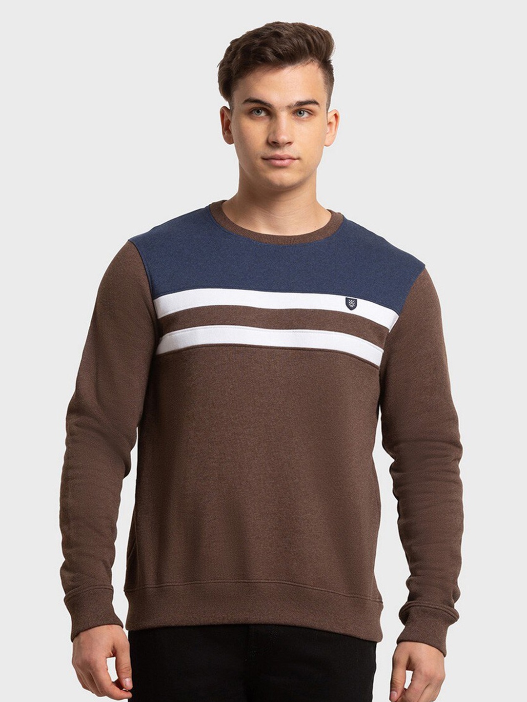 

ColorPlus Men Colourblocked Sweatshirt, Brown