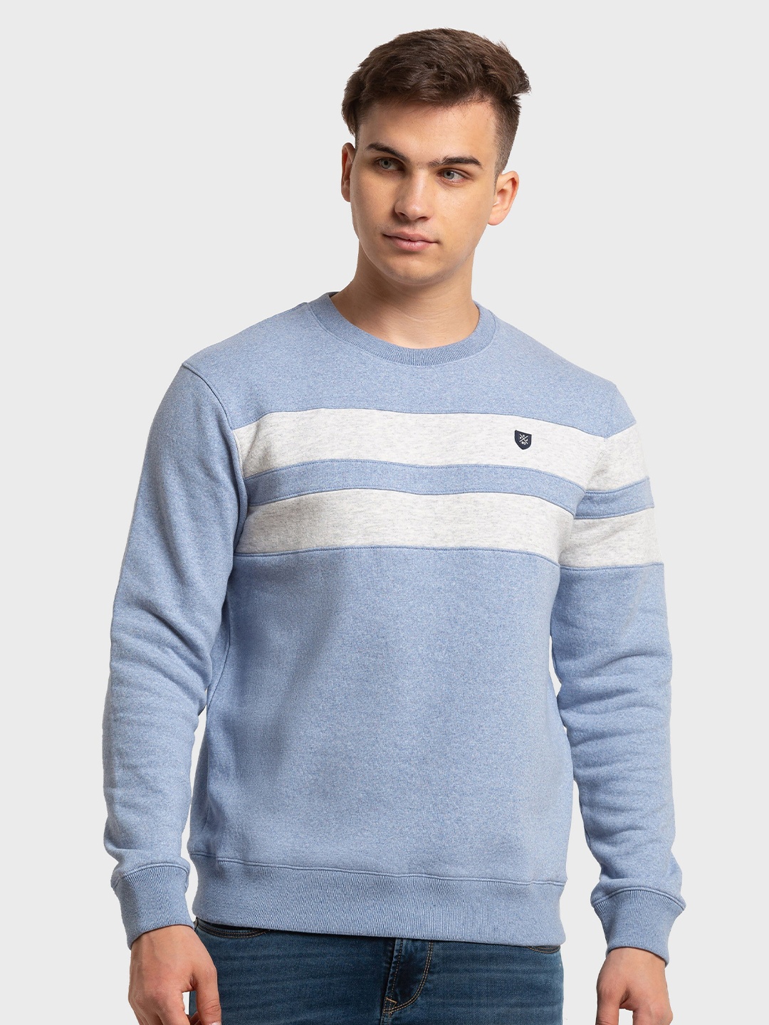 

ColorPlus Men Plus Size Striped Sweatshirt, Blue