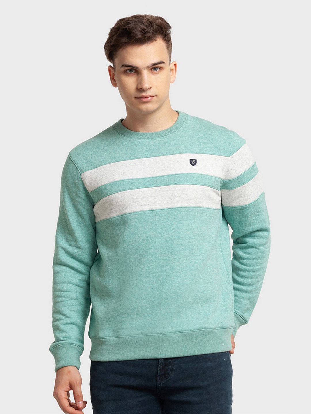 

ColorPlus Men Plus Size Striped Sweatshirt, Green