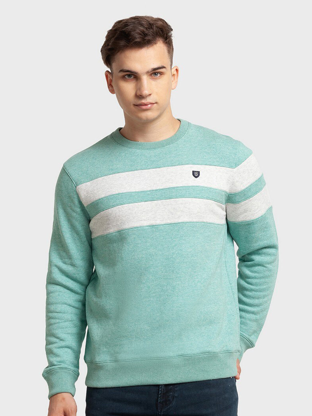 

ColorPlus Men Green Striped Sweatshirt