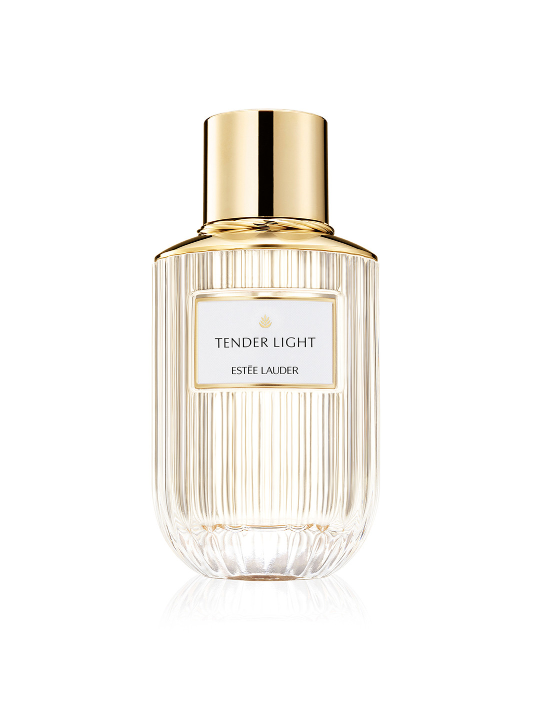 

Estee Lauder Women Tender Light Luxury Fragrance Eau De Parfum Spray - 100 ml, Cream