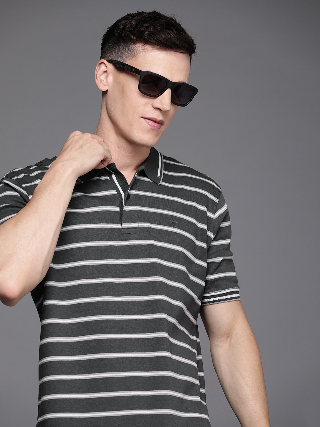 

Louis Philippe Men Charcoal Grey & White Striped Polo Collar Pure Cotton T-shirt
