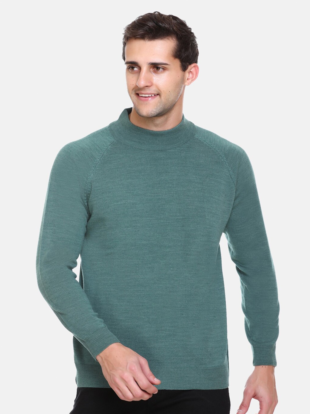 

aarbee Men Green Turtle Neck Pullover