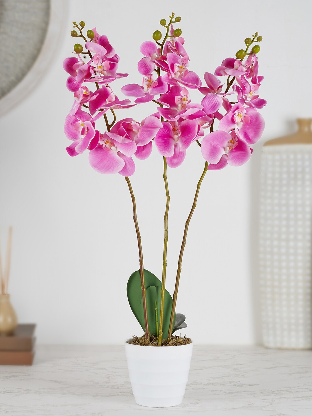 

HomeTown Pink & White Artificial Orchid Potted Plant