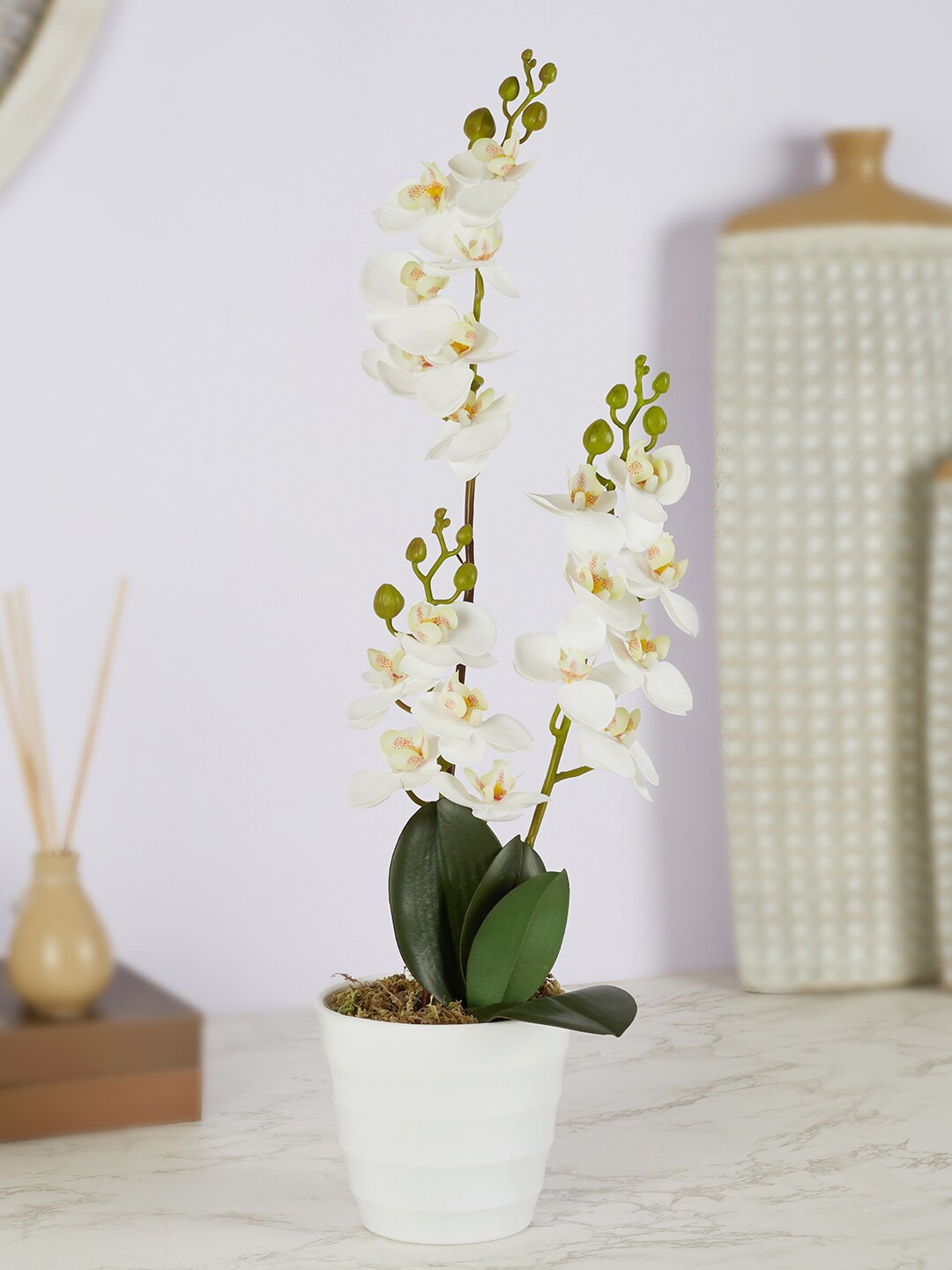

HomeTown White Ilana Artificial Orchid Potted Plant