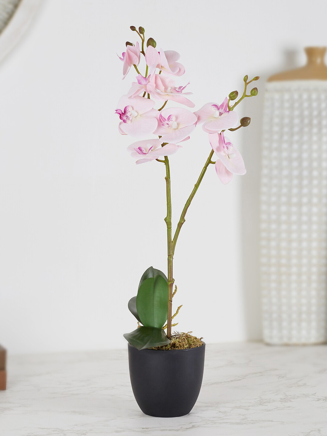 

HomeTown Green & Pink Orchid Artificial Flowers and Plants With Pot