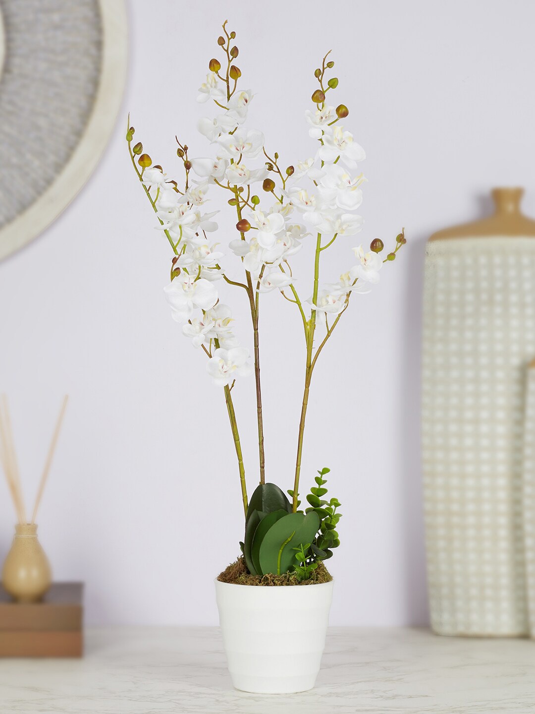 

HomeTown White Ilana Artificial Orchid Potted Plant