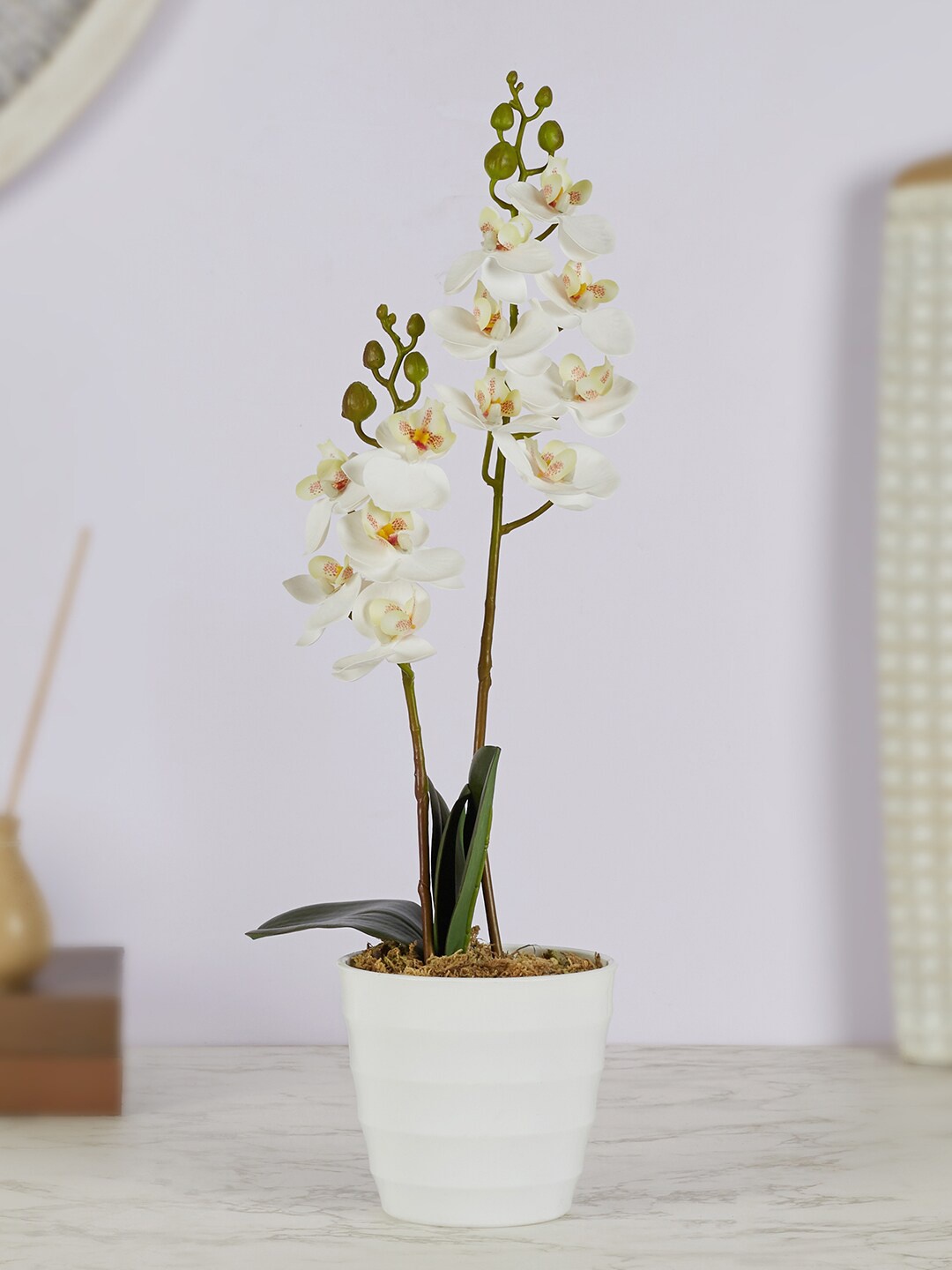 

HomeTown Green & White Orchid Artificial Flowers & Plants With Pot
