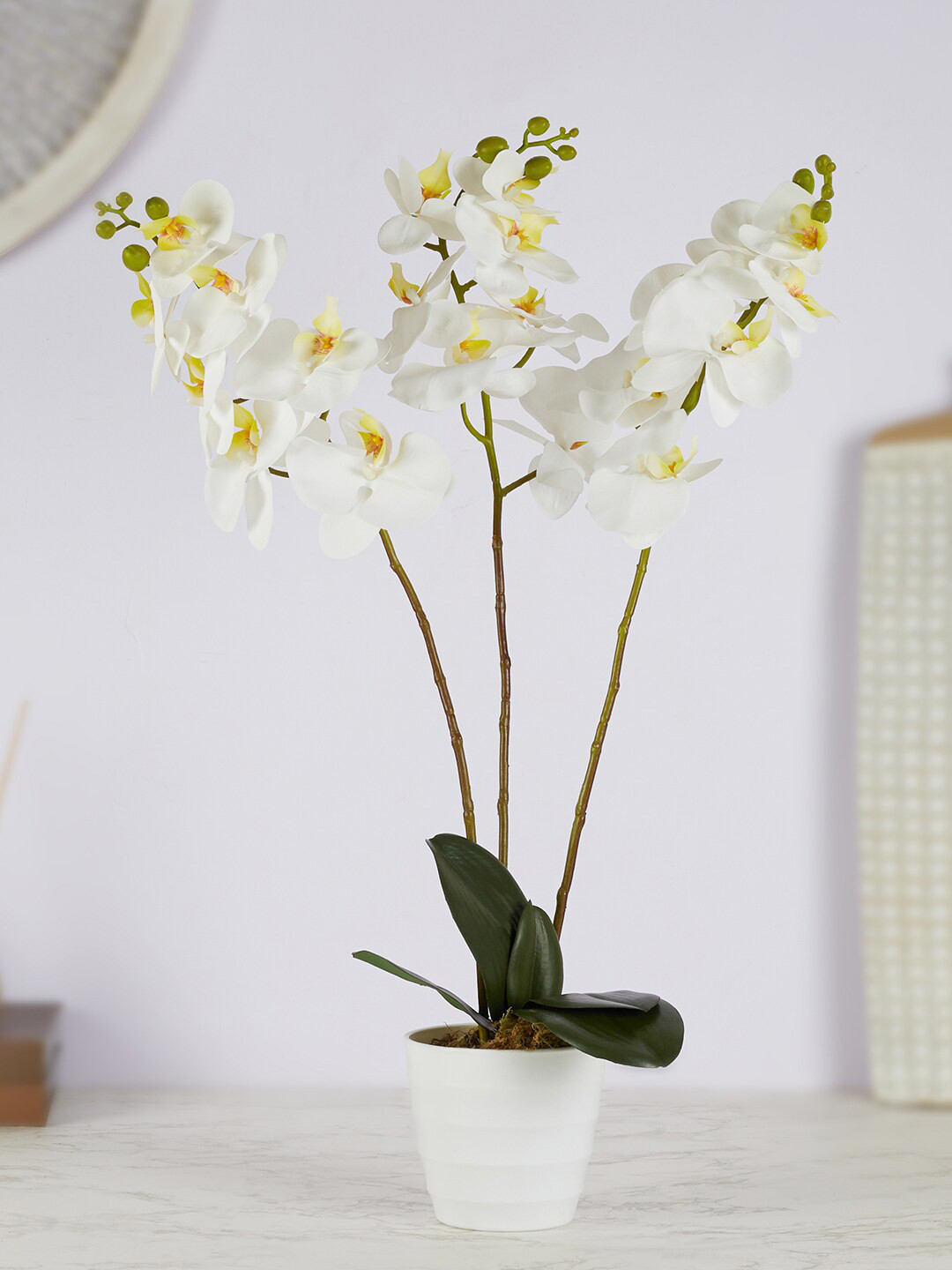 

HomeTown White Ilana Artificial Orchid Potted Plant