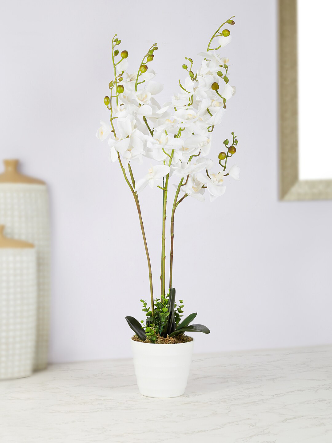 

HomeTown White Ilana Artificial Orchid Potted Plant