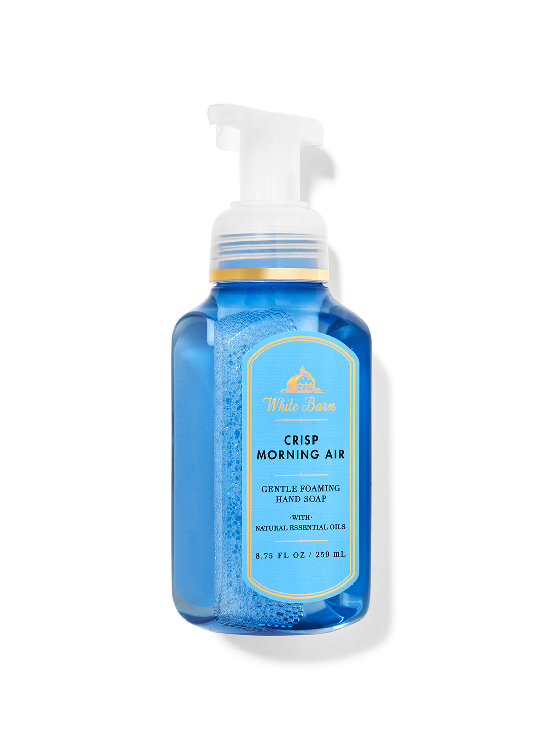 

Bath & Body Works Crisp Morning Air Gentle Foaming Hand Soap with Essential Oil - 259 ml, Blue