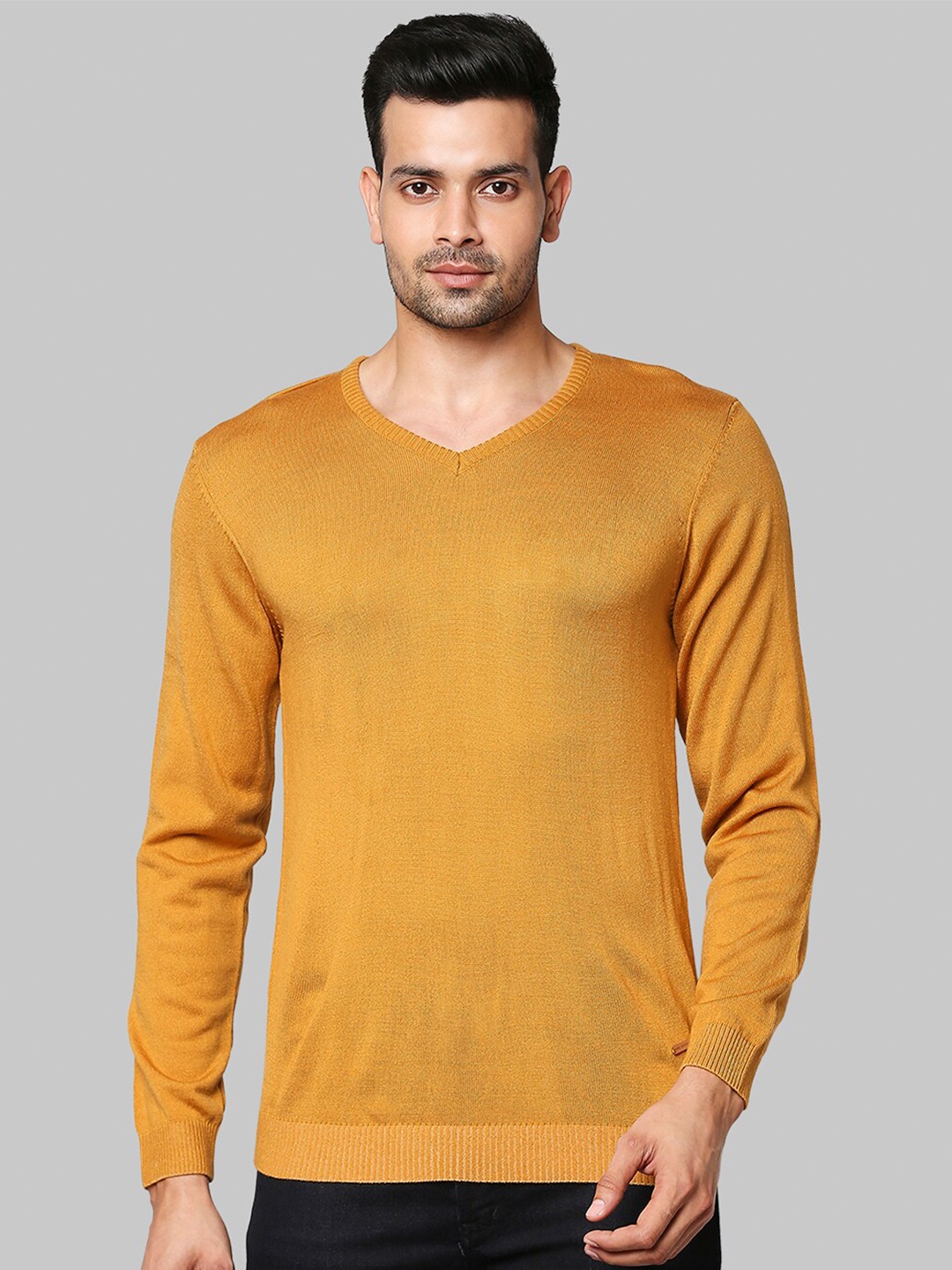 

Park Avenue Men Yellow Pullover