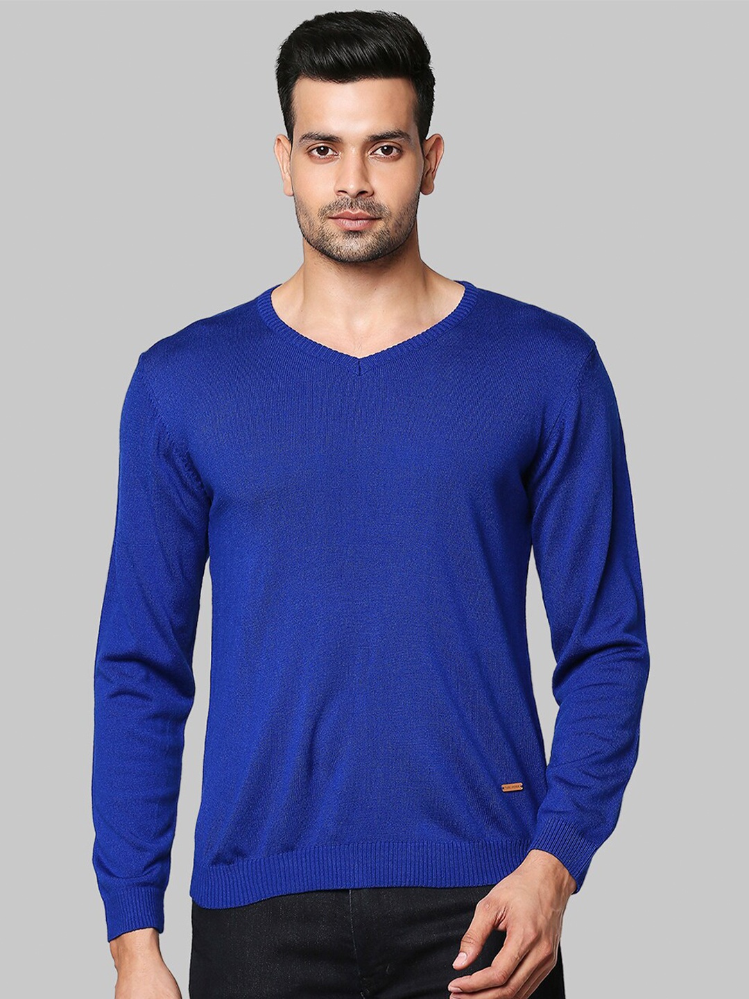 

Park Avenue Men Blue Pullover