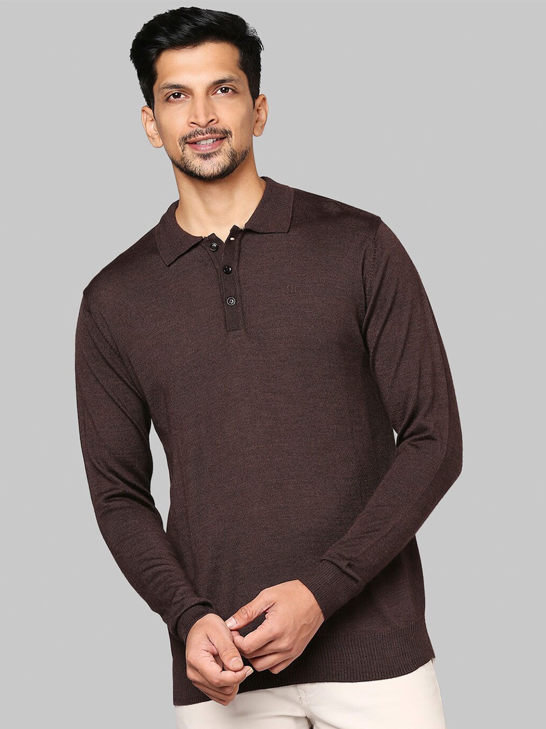 

Raymond Men Brown Sweaters