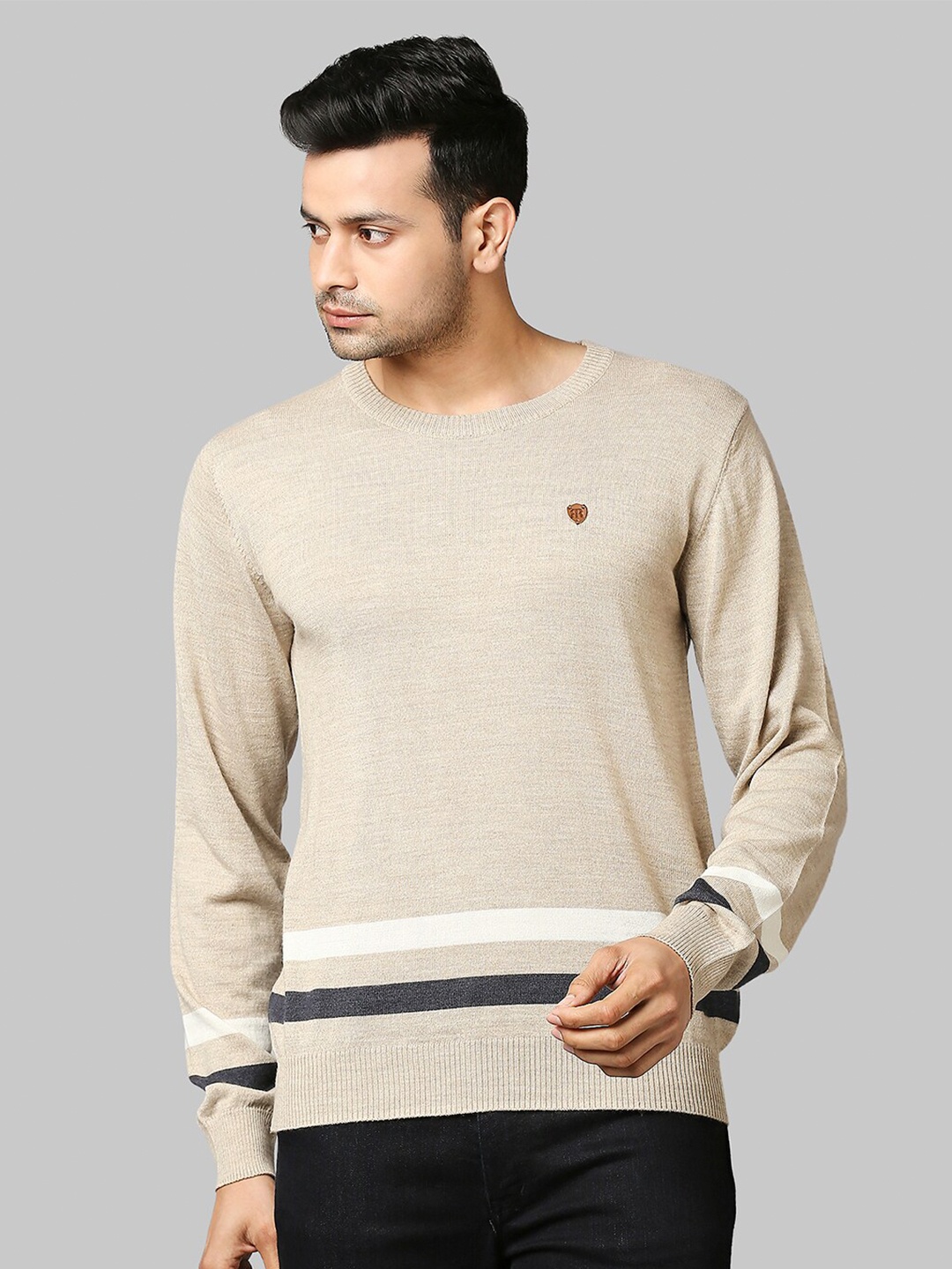 

Raymond Men Beige & White Pullover Sweater