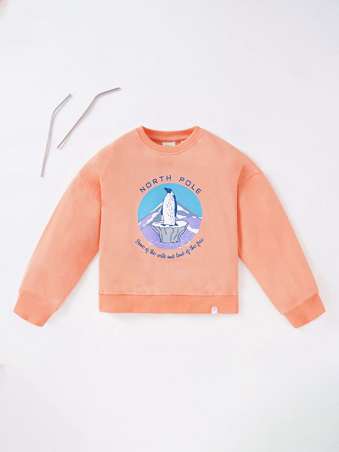 

Ed-a-Mamma Girls Printed Sweatshirt, Orange