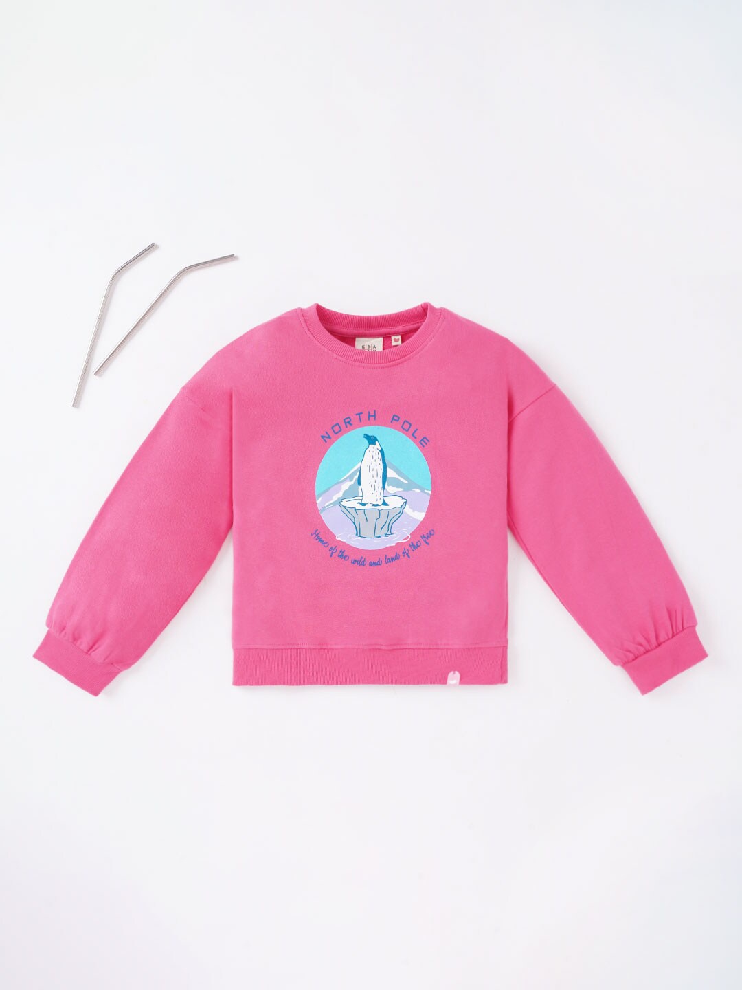 

Ed-a-Mamma Girls Printed Sweatshirt, Pink