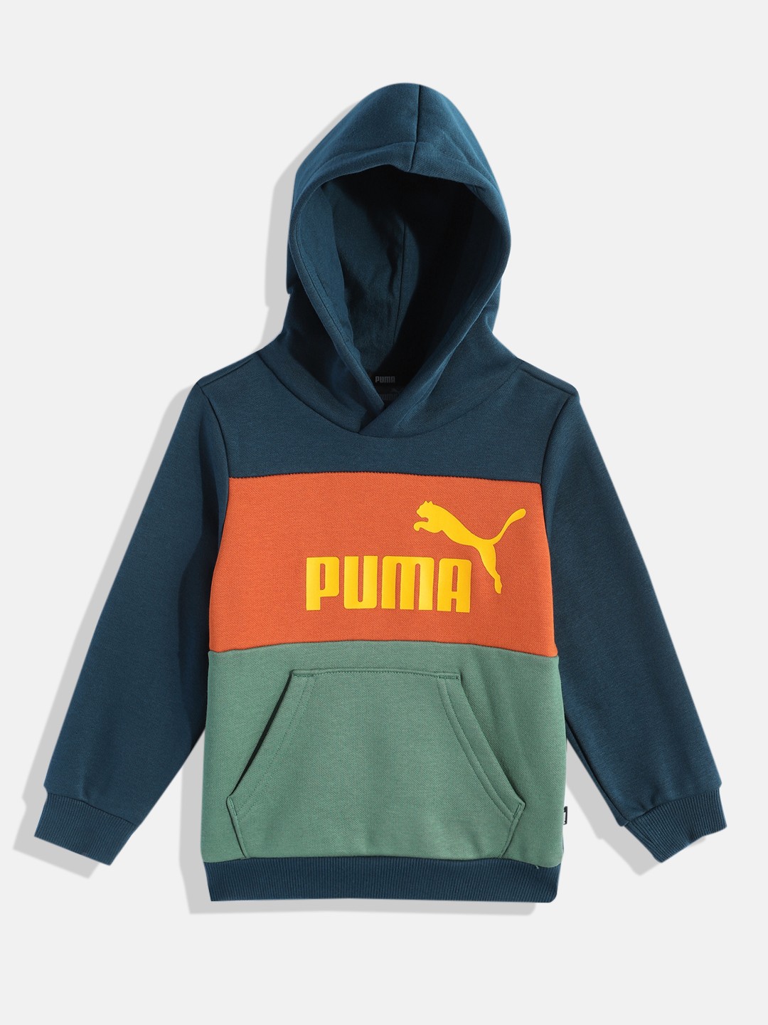 

Puma Printed Hooded Regular Fit Sweatshirt, Blue