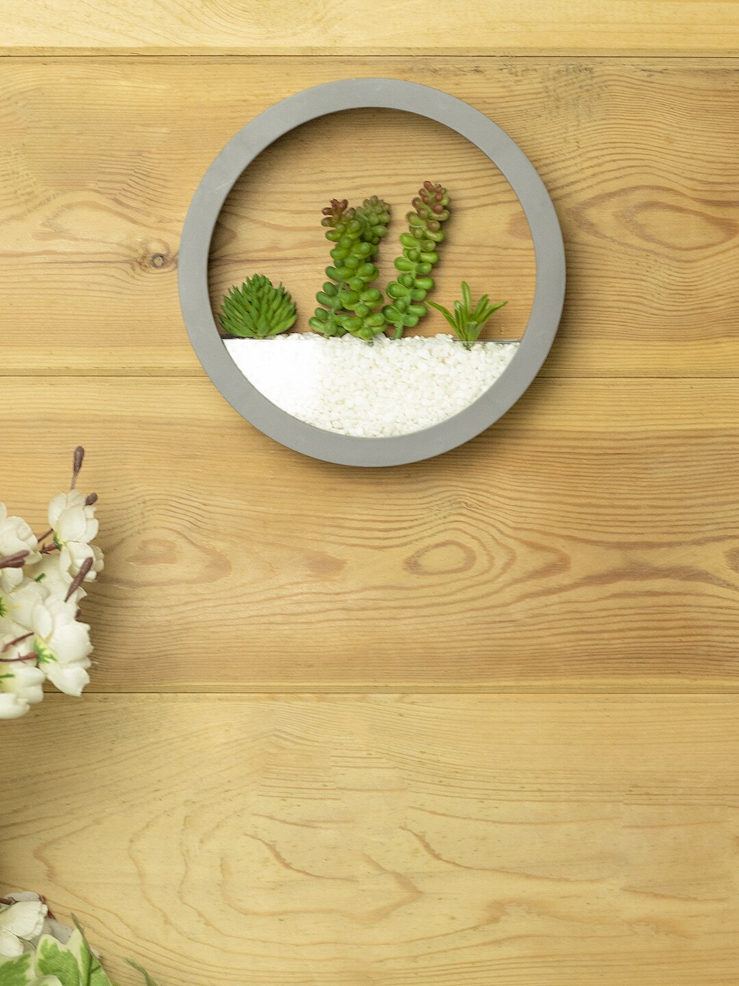 

MARKET99 Grey Elegant Round Transparent Wall Hanging Terrarium
