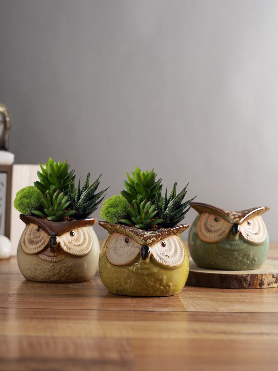 

TAYHAA Set Of 3 Green & Yellow Owl Ceramic Pot Planters