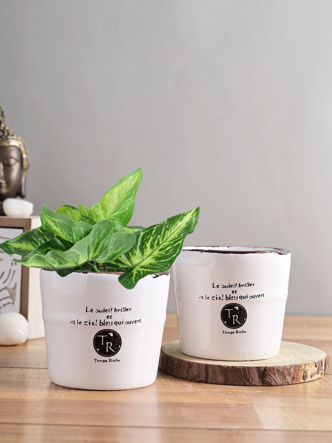 

TAYHAA Set Of 2 White Bucket Style Ceramic Planters