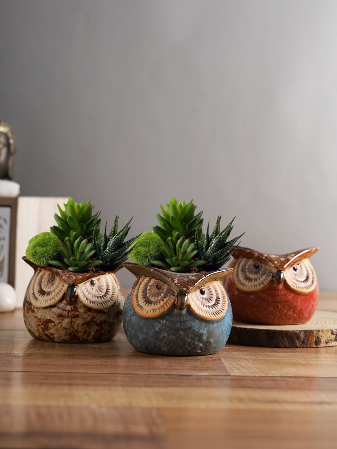 

TAYHAA Set Of 3 Owl Design Ceramic Pot Planter, Red