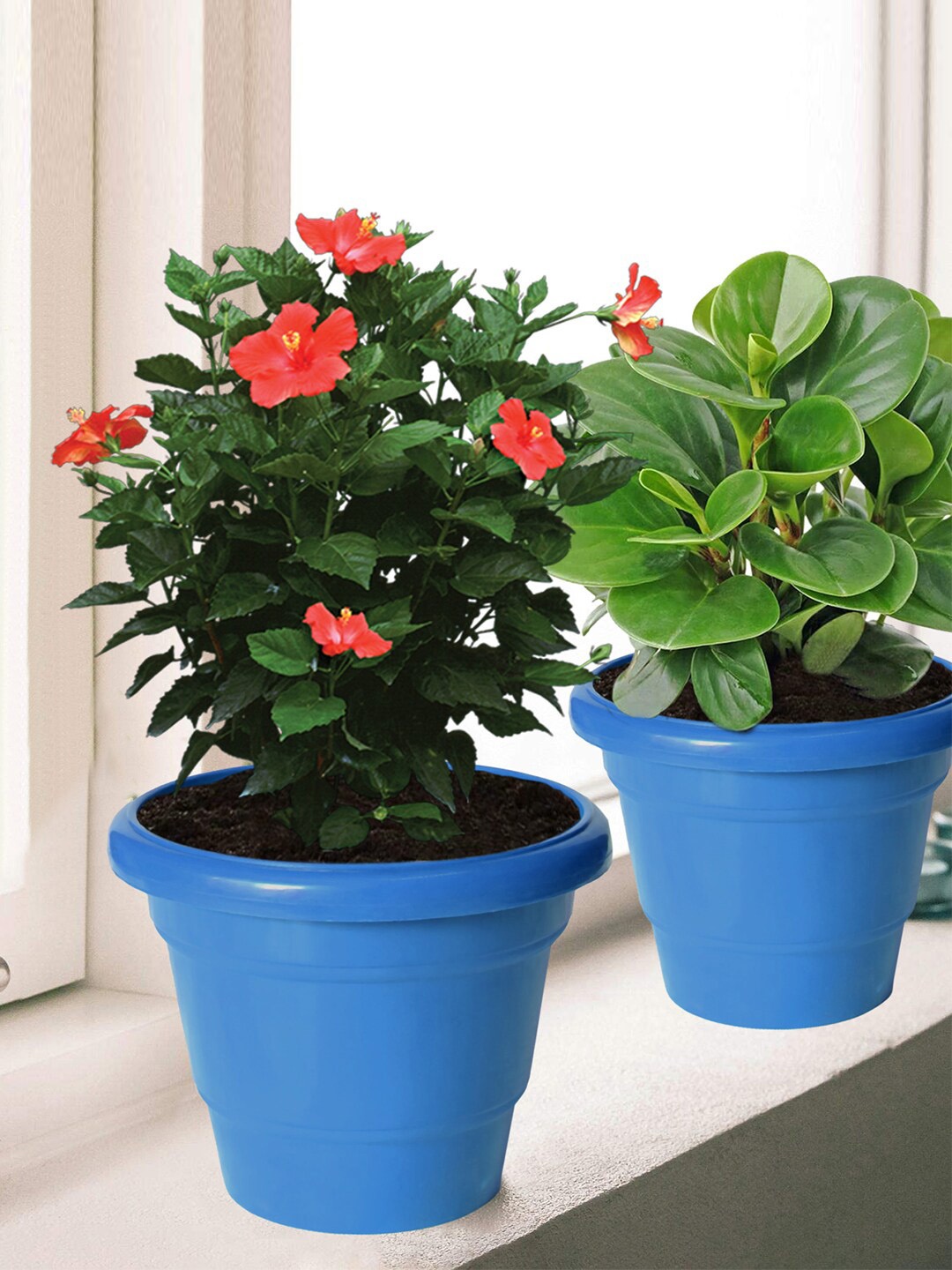 

Kuber Industries Set Of 8 Blue Solid Large Flower Planters