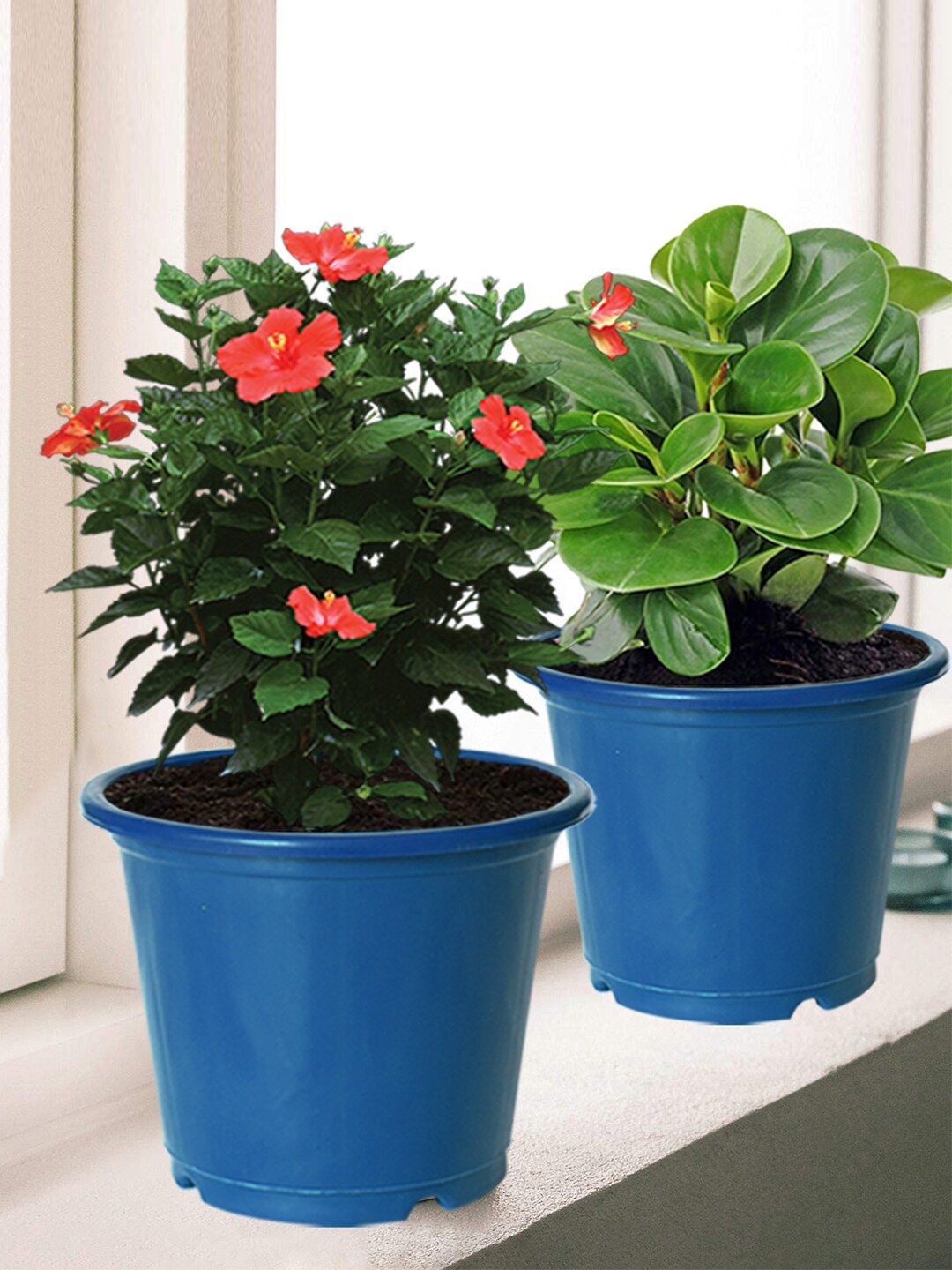 

Kuber Industries Pack of 4 Blue Solid Layered Plastic Flower Pot With Drainage Hole