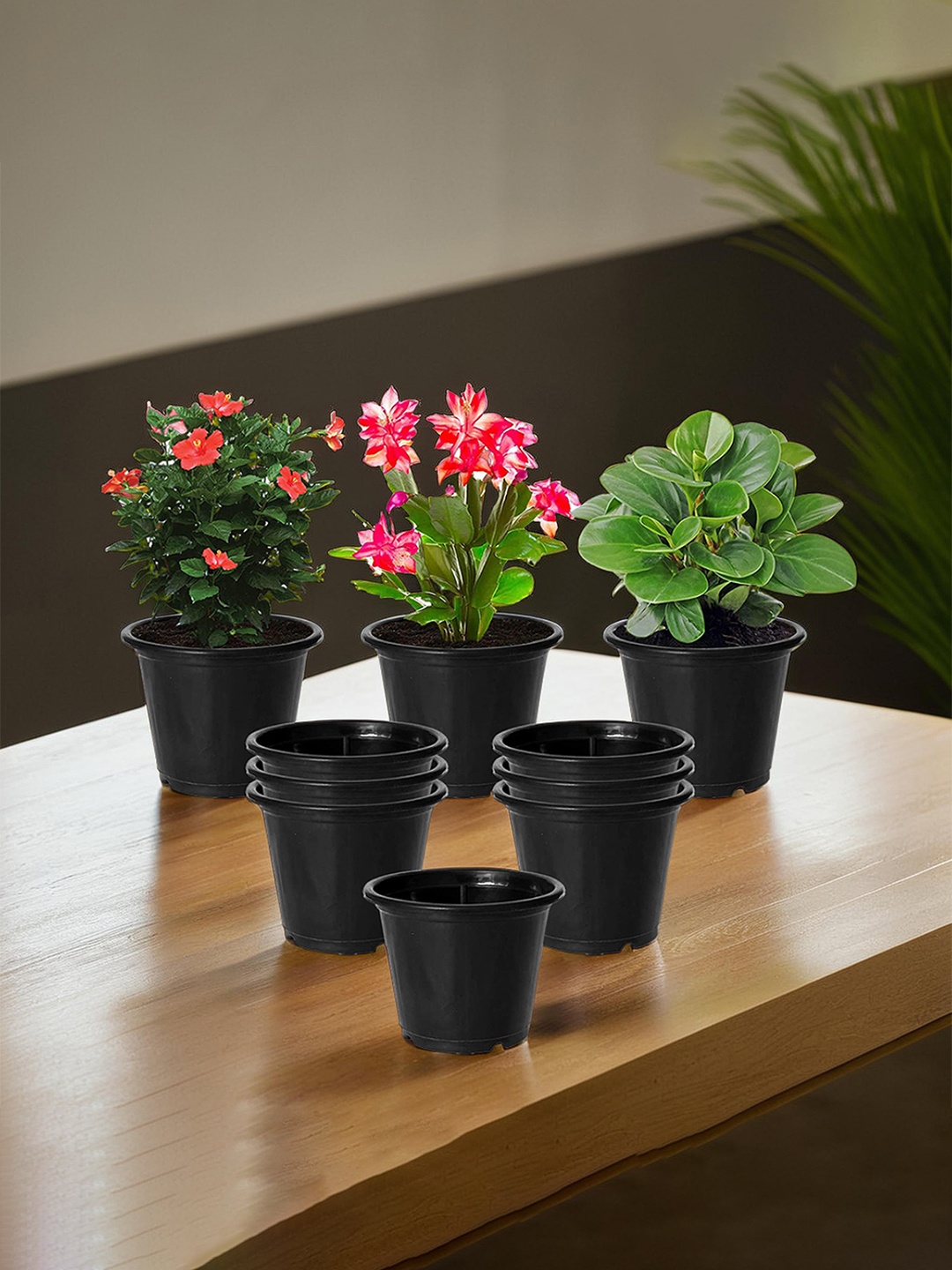 

Kuber Industries Set Of 10 Black Solid Large Plastic Flower Planters With Drainage Hole